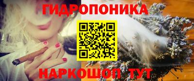 mdpv Партизанск