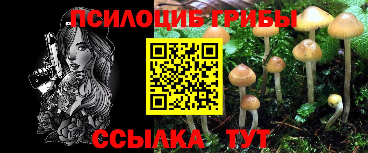 Псилоцибиновые грибы Psilocybe  Вход с VPN  Галлюциногенные грибы GOLDEN TEACHER  Севастополь 